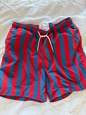 SOLID & STRIPED Red and Blue Vertical Stripe Swim Trunks
